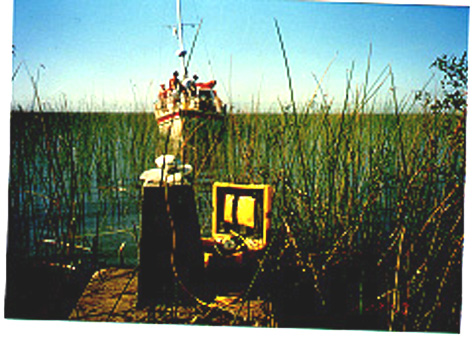 Ilha Confraternidad (Uruguai)